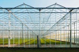 McDermott Advises On Refinancing Of Puma Energy’s USD775 Million Syndicated Revolving Credit And Term Loan Facilities