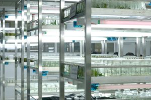 McDermott advises Ren Life Sciences on its acquisition of AMW GmbH, a long acting injectable drug development company