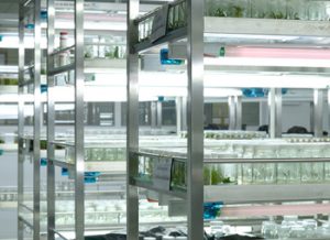 European Commission Fines Teva €462.6 Million for Misusing Divisional patents and Disparaging Generic Competitors in the Copaxone Market