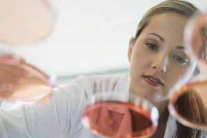Investing in Global Healthcare and Life Sciences Guide 2022