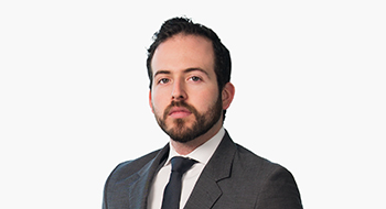 Diego E. Gómez-Cornejo