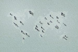 International News: Global Privacy and Cybersecurity