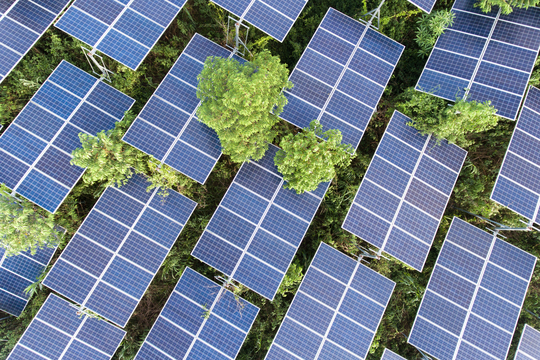 Biden Administration Pauses Solar Panel Circumvention Proceeding to Allow Domestic Industry to Develop Sufficient Supply of Solar Modules