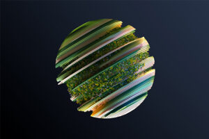 International News: Spotlight on ESG, Impact & Sustainability