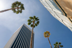 Key Takeaways | Family Offices: Evolution & Efficiencies