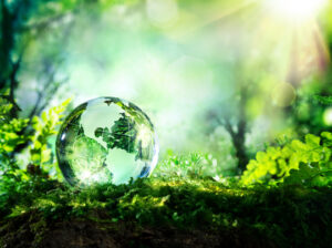 SEC Adopts Climate-Related Risk Disclosure Rules: What Public Companies, Executives and Investors Need to Know