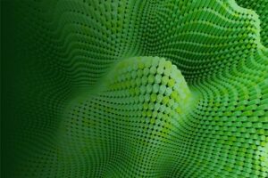Bolstering Climate Action: Carbon Protect™ Insurance Reduces Risk in Carbon Markets