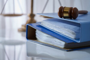 Die israelische Justizreform