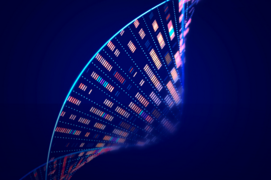 Life Sciences Entrepreneurs Acceleration Program (LEAP)