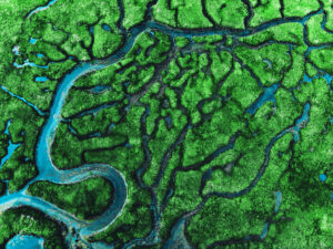McDermott conseille One Biosciences  dans le cadre de sa levée de fonds de Série A
