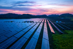 Doral Renewables’ drive to build sustainable solar solutions