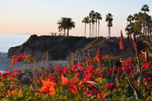 California at a crossroads: SB 254 study maps systemic reforms for wildfire and catastrophe resilience