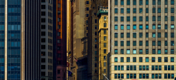 Investment Management