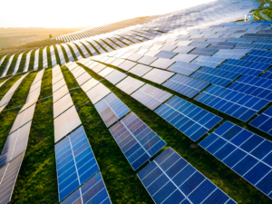 Distressed Renewables: Debtor-Side Strategies in Distressed Renewables